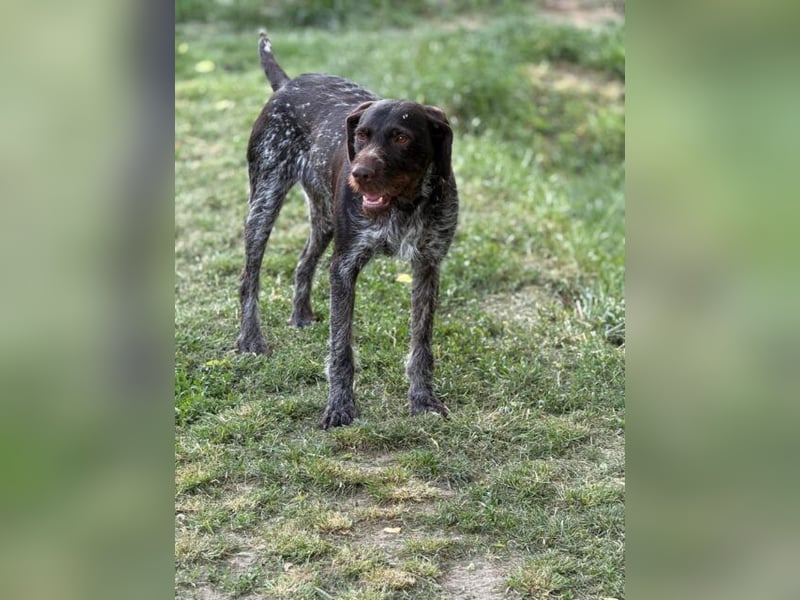 Ich heiße Panni, mit Video