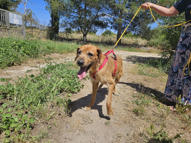 Balu: er hat ganz viel Liebe zu geben