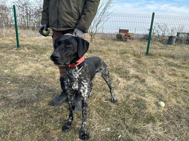 Teofil, geb. 01.01.2023, 63 cm, möchte viel erleben