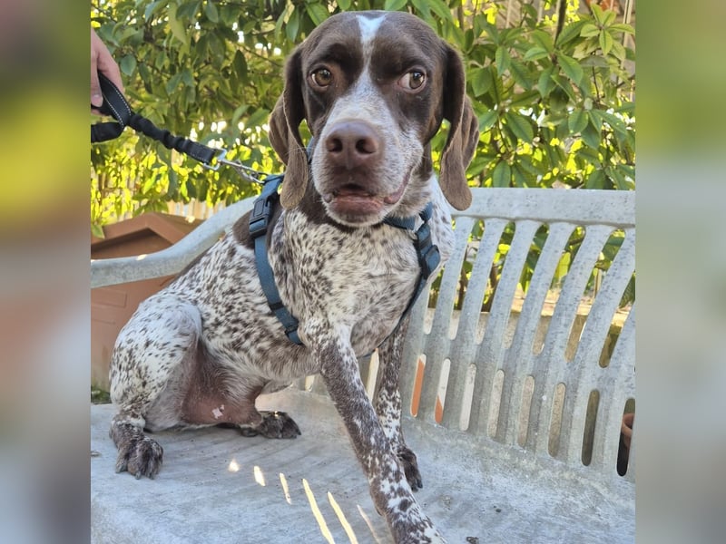 Jakob - ein feiner Kerl sucht seinen Lieblingsmenschen