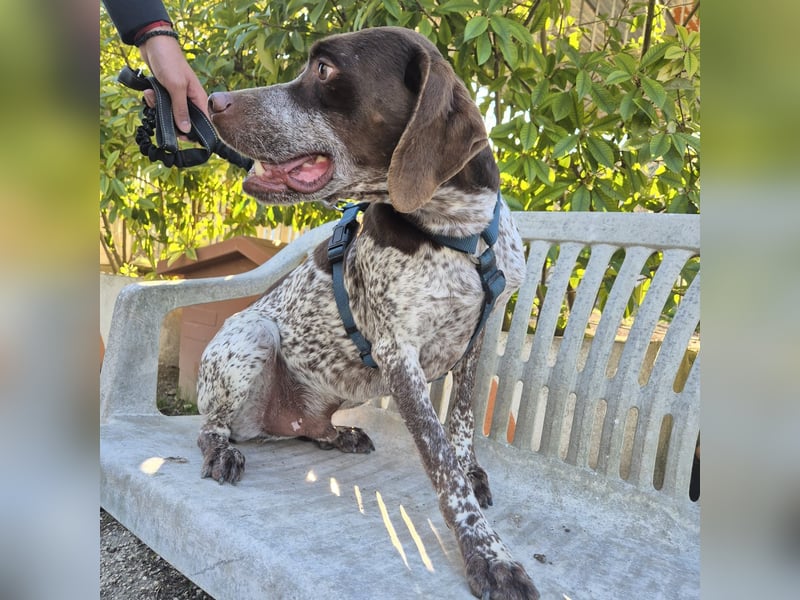 Jakob - ein feiner Kerl sucht seinen Lieblingsmenschen