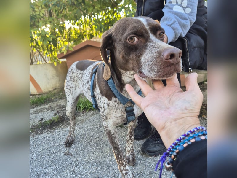 Jakob - ein feiner Kerl sucht seinen Lieblingsmenschen