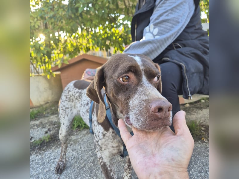Jakob - ein feiner Kerl sucht seinen Lieblingsmenschen