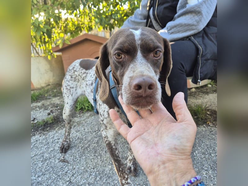 Jakob - ein feiner Kerl sucht seinen Lieblingsmenschen