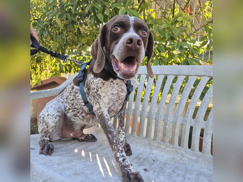 Jakob - ein feiner Kerl sucht seinen Lieblingsmenschen
