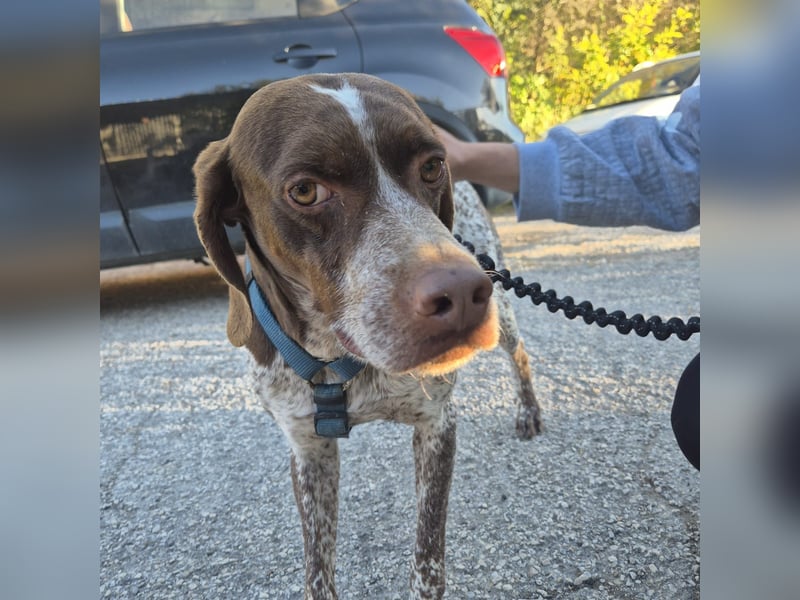 Jakob - ein feiner Kerl sucht seinen Lieblingsmenschen