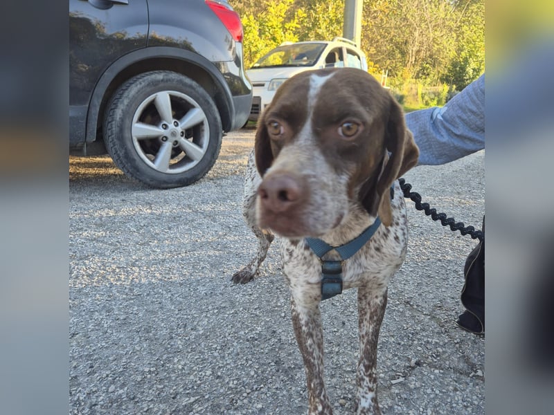 Jakob - ein feiner Kerl sucht seinen Lieblingsmenschen