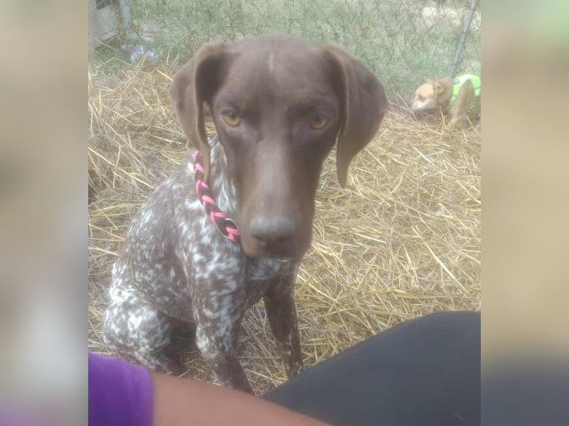 LEA - sucht ihre Menschen *reserviert*