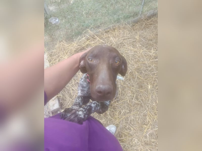 LEA - sucht ihre Menschen *reserviert*