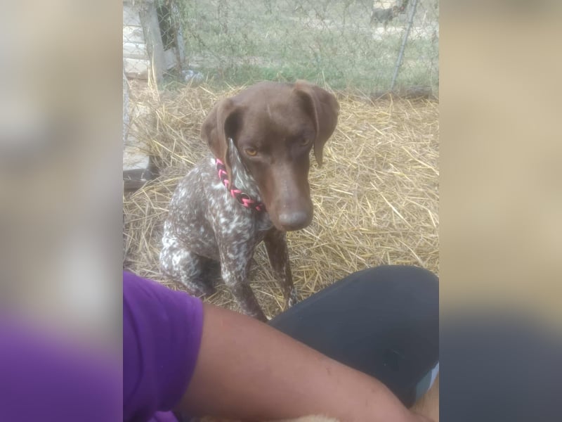 LEA - sucht ihre Menschen *reserviert*