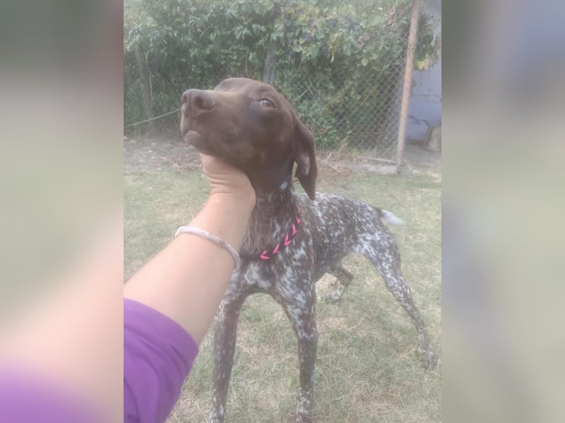 LEA - sucht ihre Menschen *reserviert*