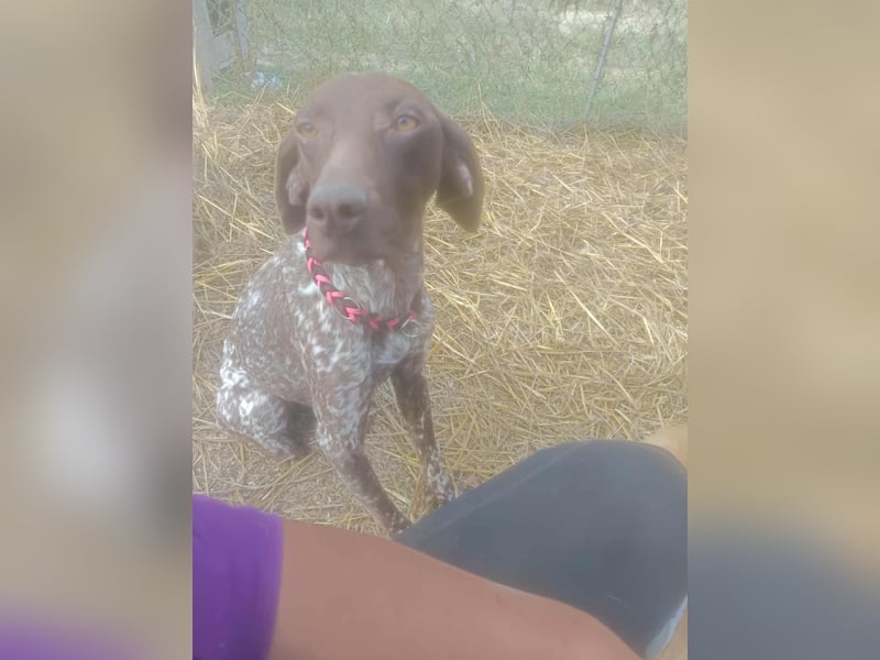 LEA - sucht ihre Menschen *reserviert*