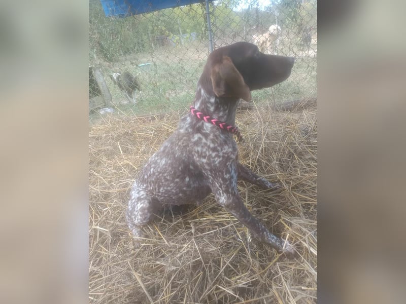 LEA - sucht ihre Menschen *reserviert*