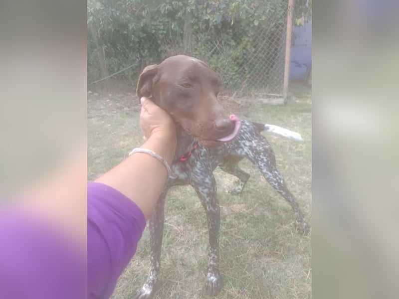 LEA - sucht ihre Menschen *reserviert*