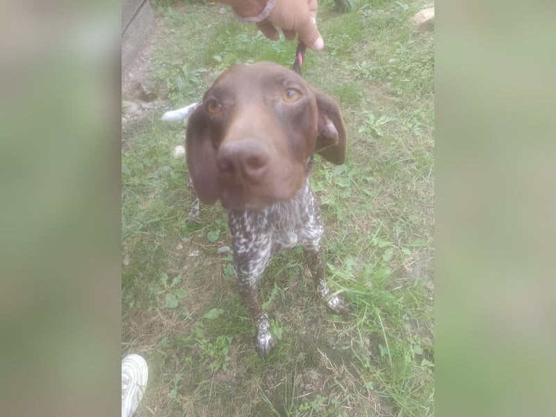 LEA - sucht ihre Menschen *reserviert*