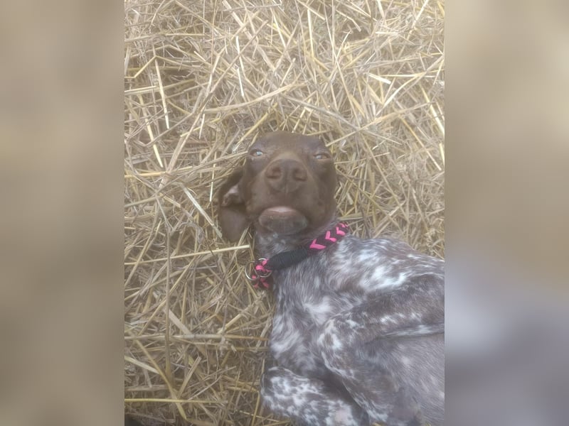 LEA - sucht ihre Menschen *reserviert*