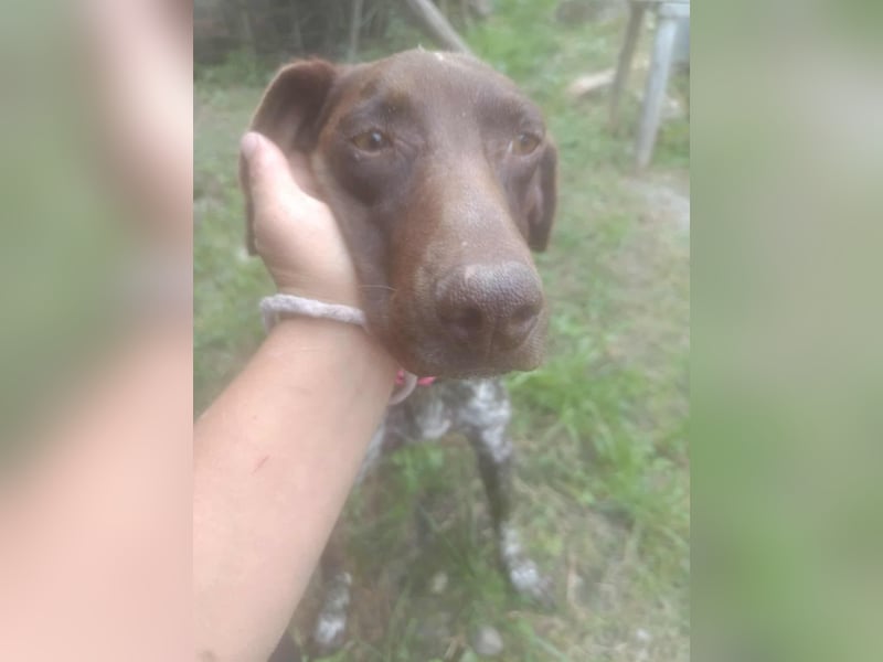 LEA - sucht ihre Menschen *reserviert*