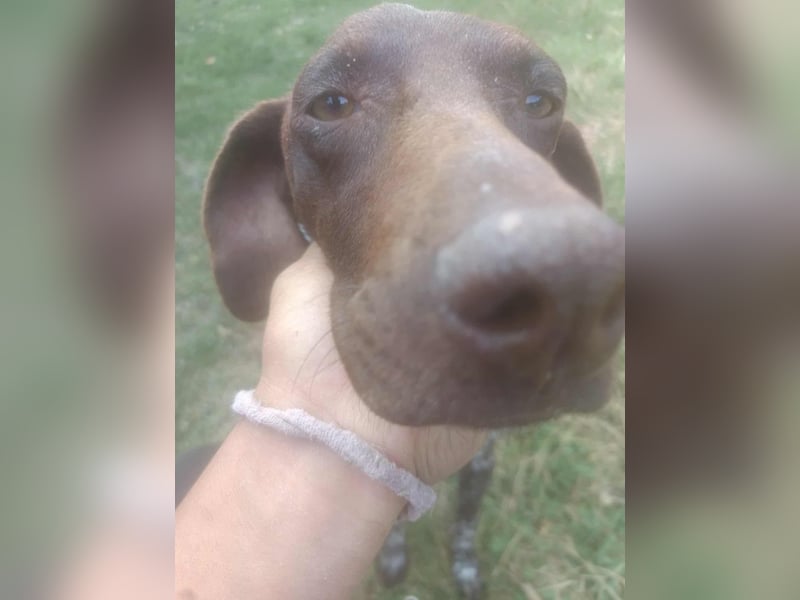 LEA - sucht ihre Menschen *reserviert*