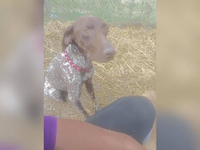 LEA - sucht ihre Menschen *reserviert*