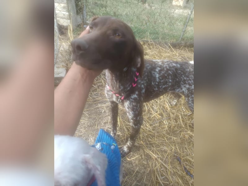 LEA - sucht ihre Menschen *reserviert*