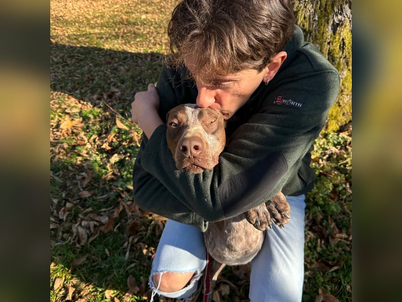 Felice - fröhlicher Wirbelwind mit großem Herz sucht aktive Menschen