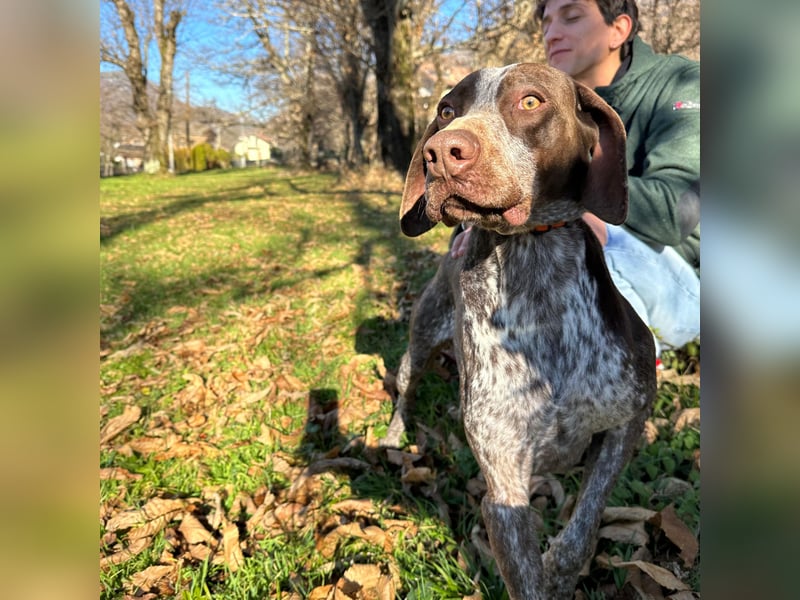 Felice - fröhlicher Wirbelwind mit großem Herz sucht aktive Menschen