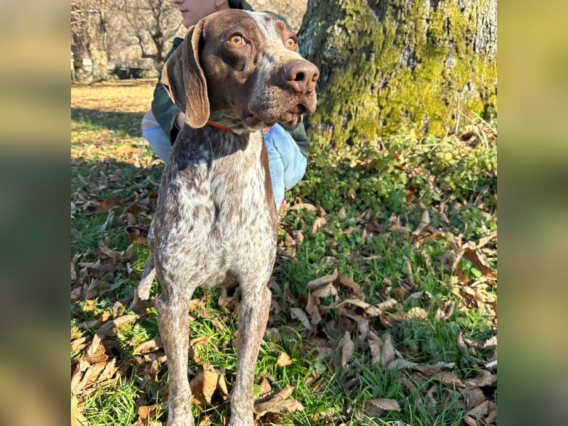 Felice - fröhlicher Wirbelwind mit großem Herz sucht aktive Menschen