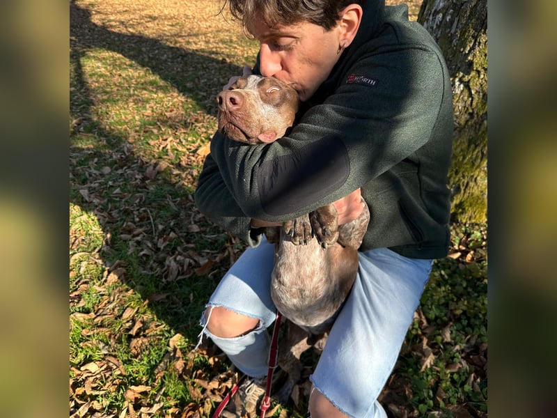 Felice - fröhlicher Wirbelwind mit großem Herz sucht aktive Menschen