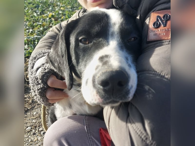 Dot ein eleganter Hingucker