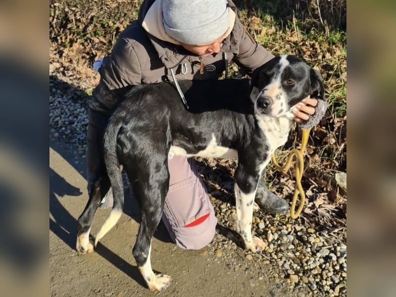 Dot ein eleganter Hingucker