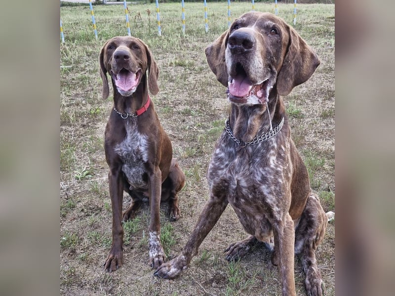 Gracie und Grando