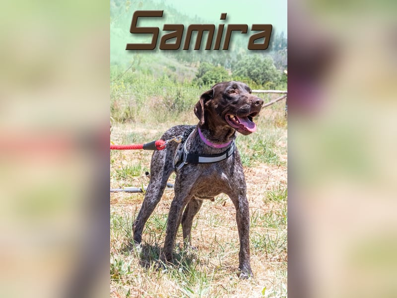 Samira - lebenslustig und freundlich