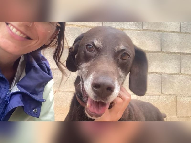 RUFO - treuer, braver, verschmuster Kumpel sucht noch einmal liebevolles Für-immer-Zuhause