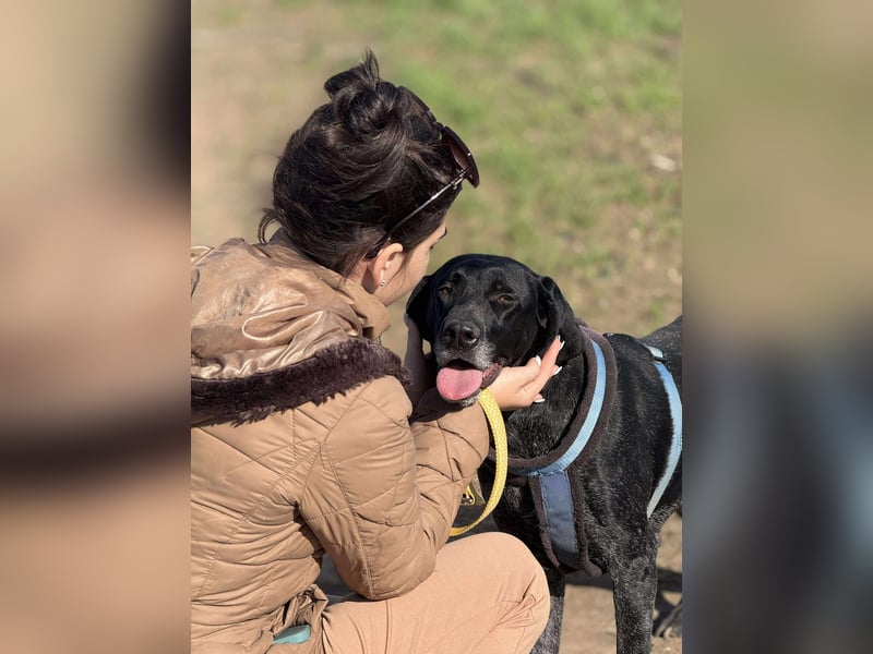 Ronja, Traum auf 4 Pfoten