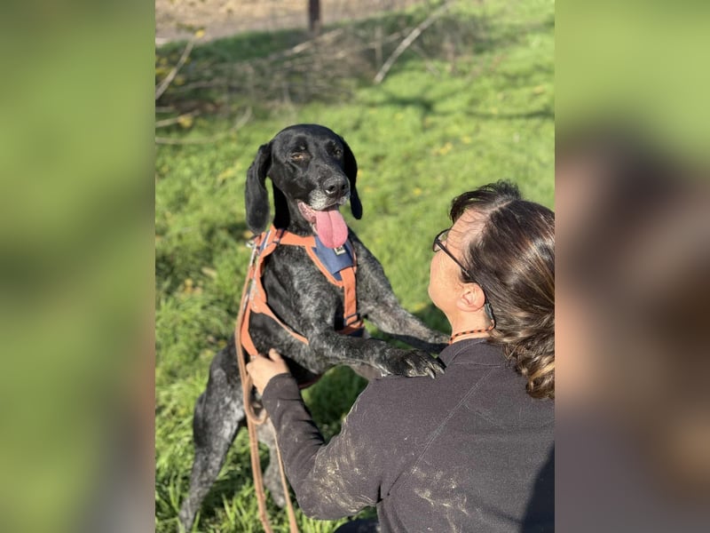 Ronja, Traum auf 4 Pfoten