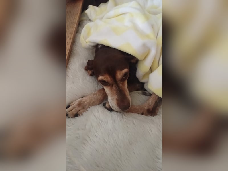 Patty: sie hat alles, was man sich wünscht