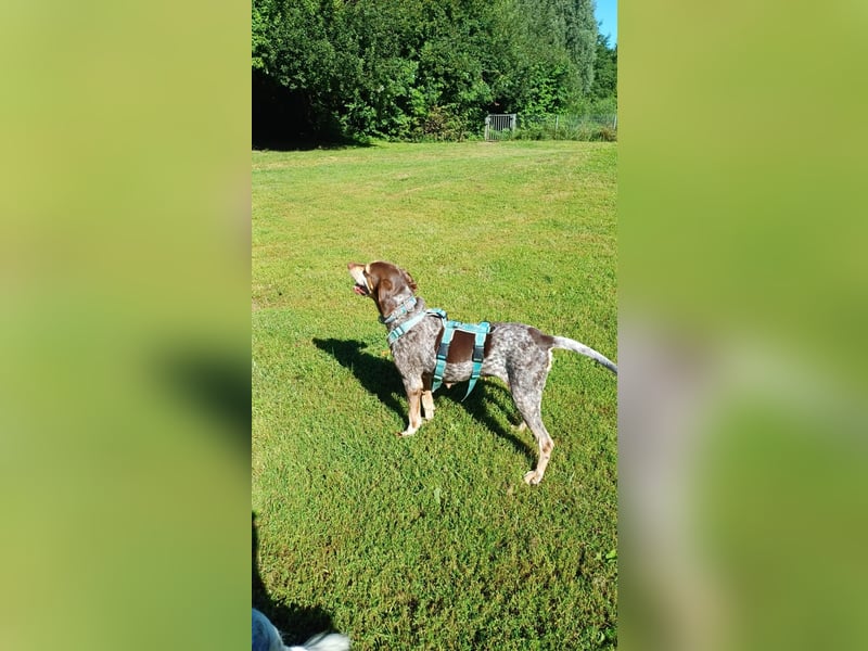 Patty: sie hat alles, was man sich wünscht