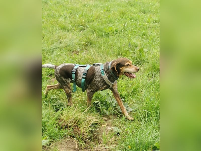 Patty: sie hat alles, was man sich wünscht