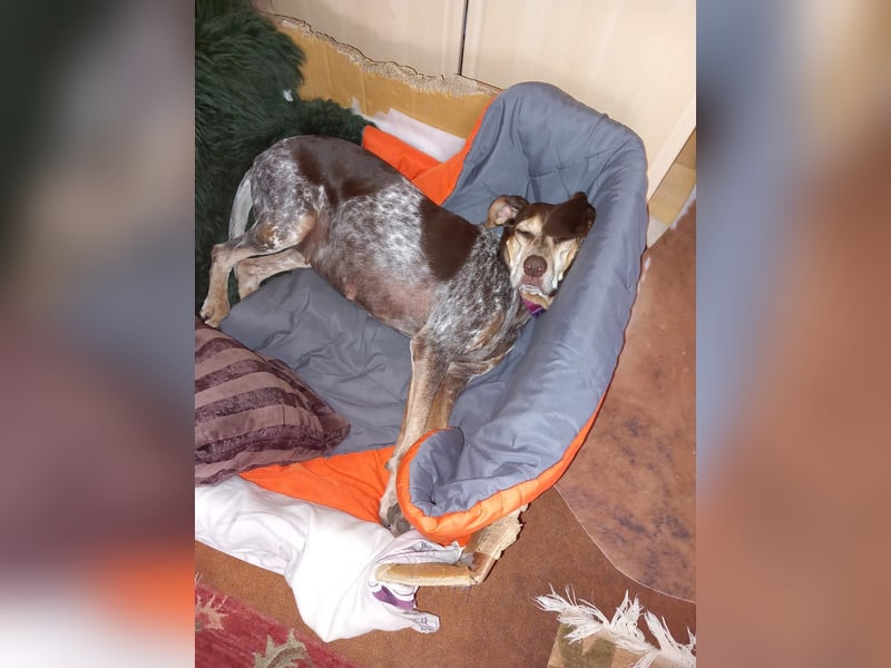 Patty: sie hat alles, was man sich wünscht