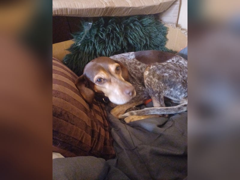 Patty: sie hat alles, was man sich wünscht