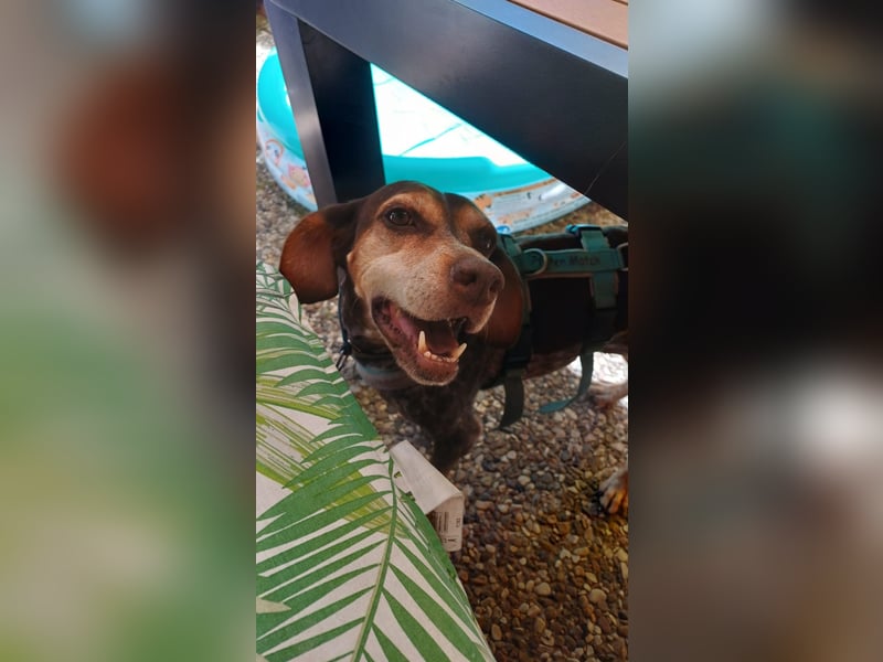 Patty: sie hat alles, was man sich wünscht