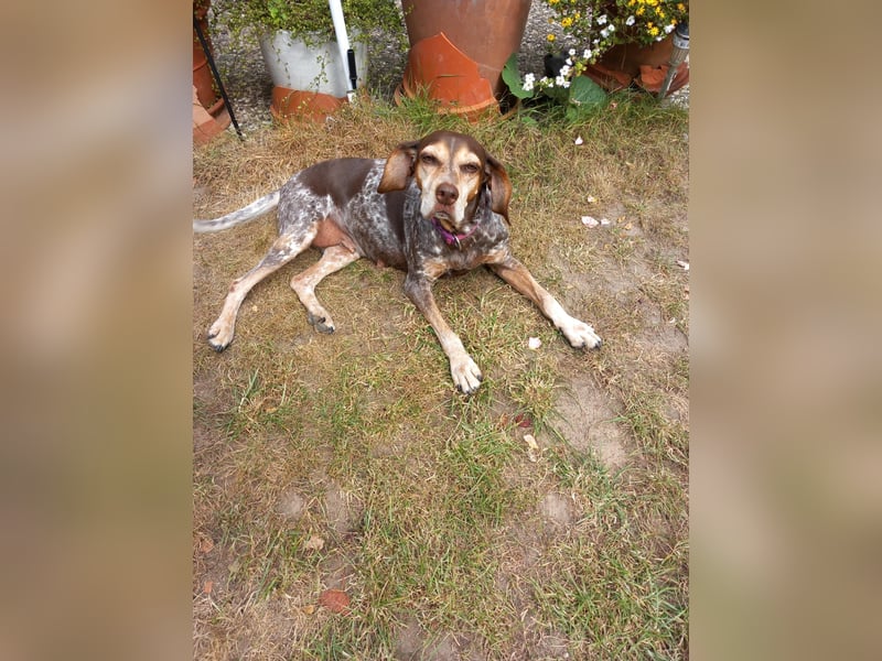 Patty: sie hat alles, was man sich wünscht