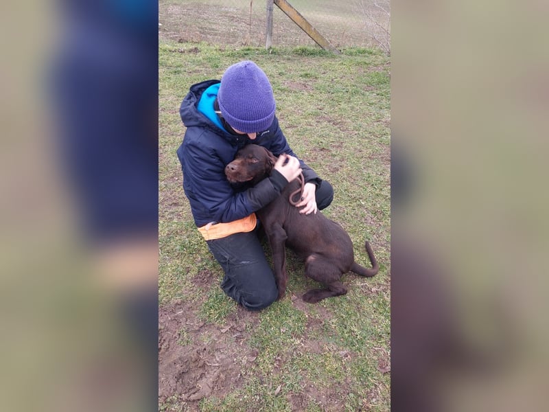 Gypsy lernwillige und aktive Lady