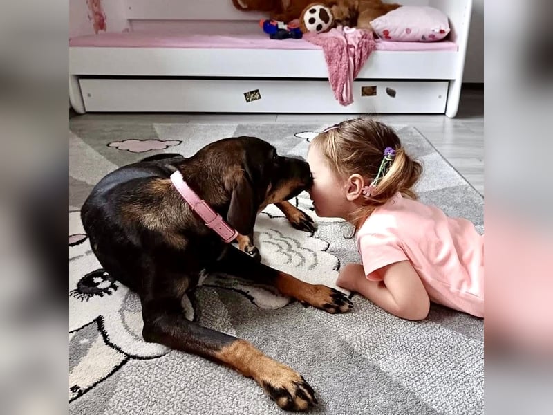 Dina eine absolute Familienhündin