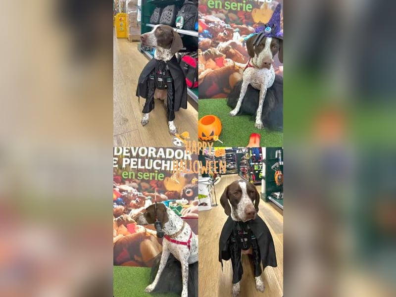 KIARA- freundlich, unbekümmert, aufgeschlossen, da sie schon einemal eine Familie hatte