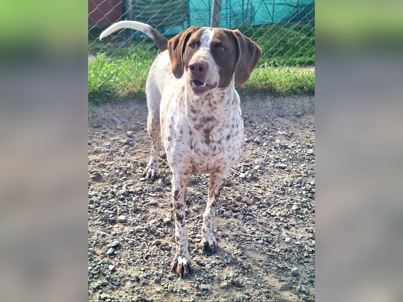 KIARA- freundlich, unbekümmert, aufgeschlossen, da sie schon einemal eine Familie hatte