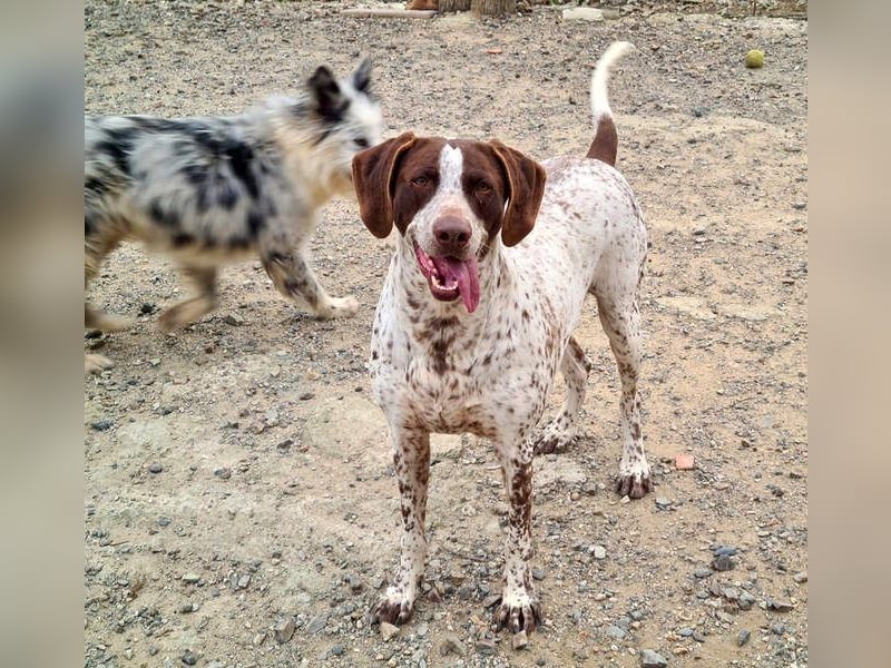 KIARA- freundlich, unbekümmert, aufgeschlossen, da sie schon einemal eine Familie hatte