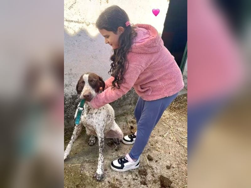 KIARA- freundlich, unbekümmert, aufgeschlossen, da sie schon einemal eine Familie hatte