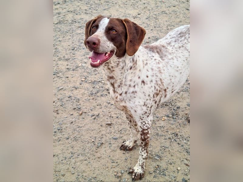 KIARA- freundlich, unbekümmert, aufgeschlossen, da sie schon einemal eine Familie hatte