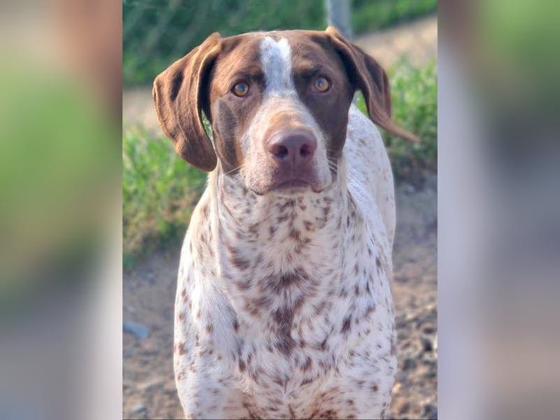 KIARA- freundlich, unbekümmert, aufgeschlossen, da sie schon einemal eine Familie hatte